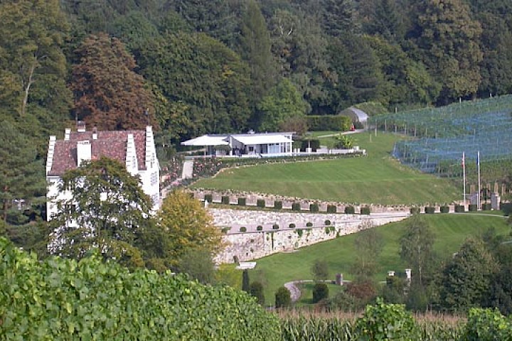 Schlossanlage mit Sommerhaus und Weinberg aus westlicher Richtung.
