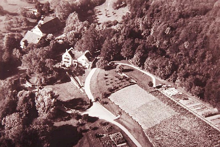 Schloss und Parkanlage um 1950.