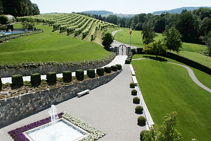 Blick aus dem Wohnzimmer auf Zufahrt, «Sternenhimmel» und Südgarten mit Springbrunnen.